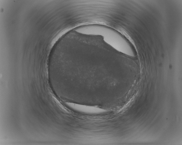 X0000066110789200604071846