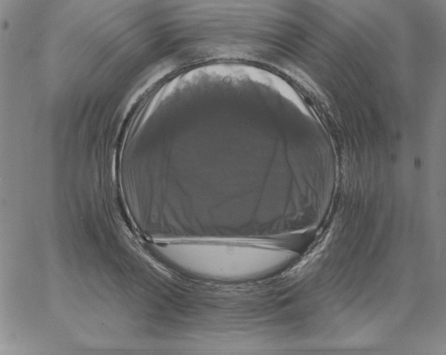 X0000066110790200604071846