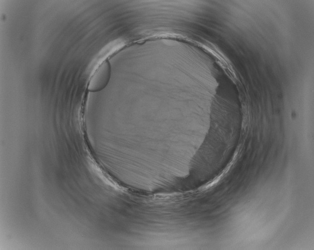 X0000066110806200604071846