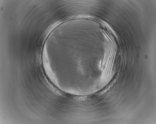 X0000066110810200604071846