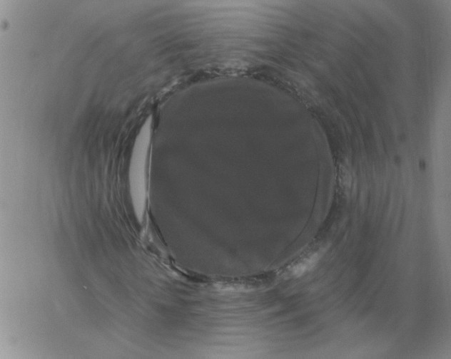 X0000066110818200604071845