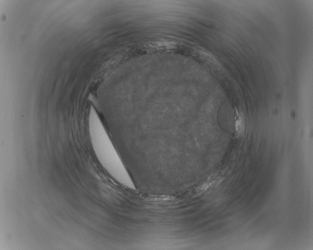 X0000066110819200604071845