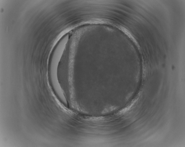 X0000066110845200604071845