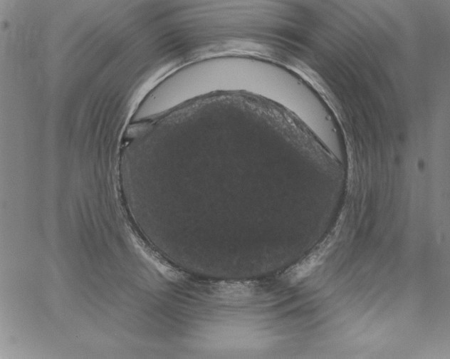 X0000066110850200604071845