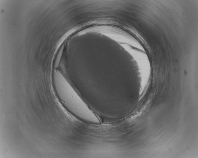 X0000066110853200604071845
