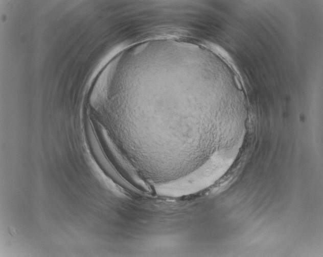 X0000066110859200604071845