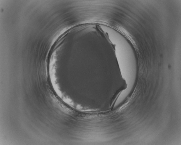 X0000066110892200604071844