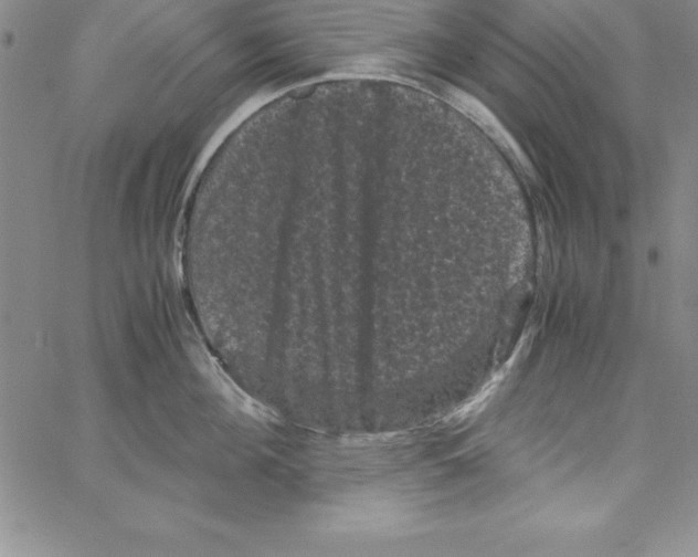 X0000066110908200604071844