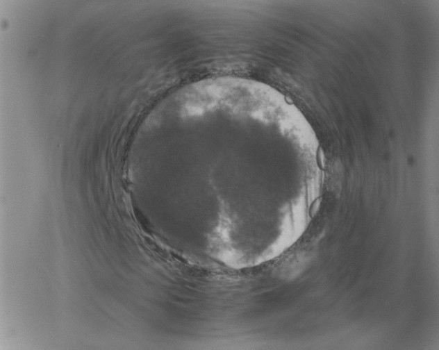 X0000066110913200604071843
