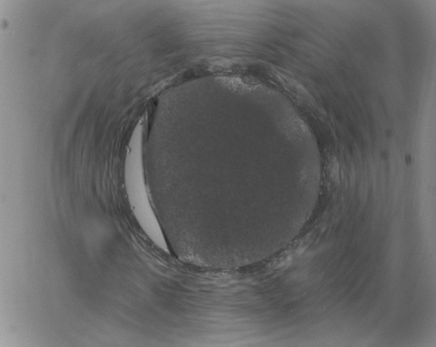 X0000066110914200604071843