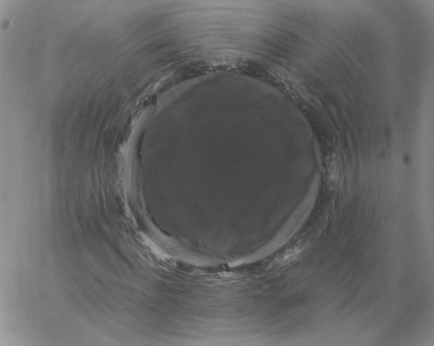 X0000066110916200604071843