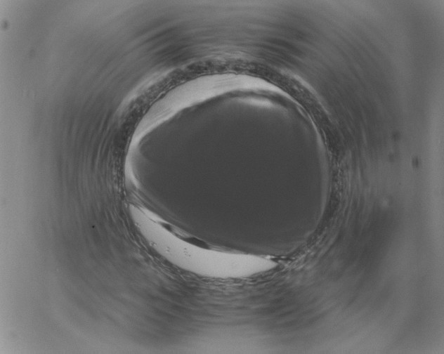 X0000066110919200604071843