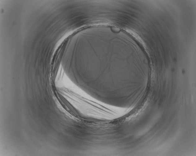 X0000066110941200604071844
