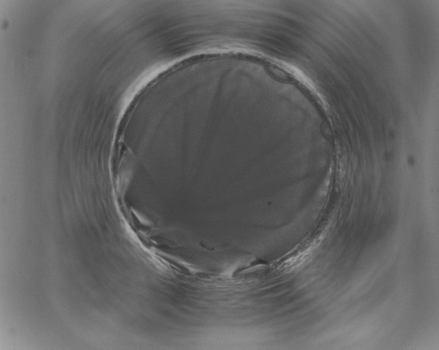 X0000066110943200604071844