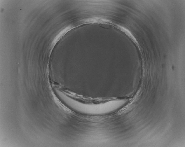 X0000066110946200604071844