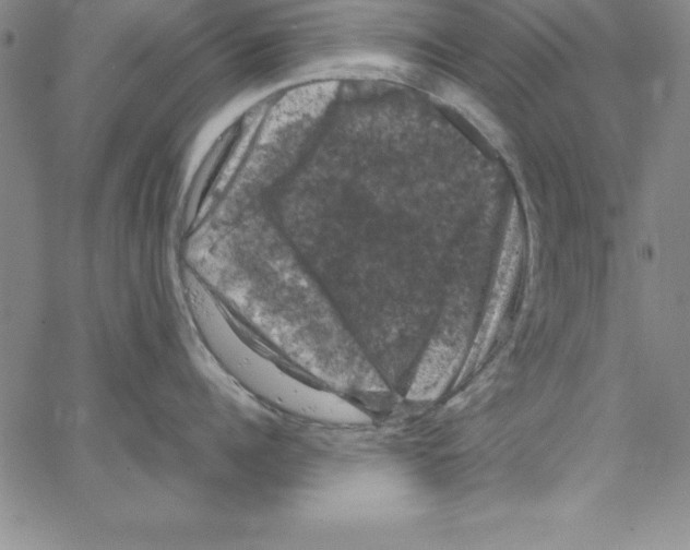 X0000066110960200604071844