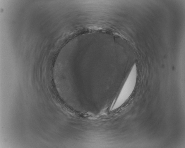 X0000066110961200604071843