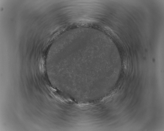 X0000066110964200604071843