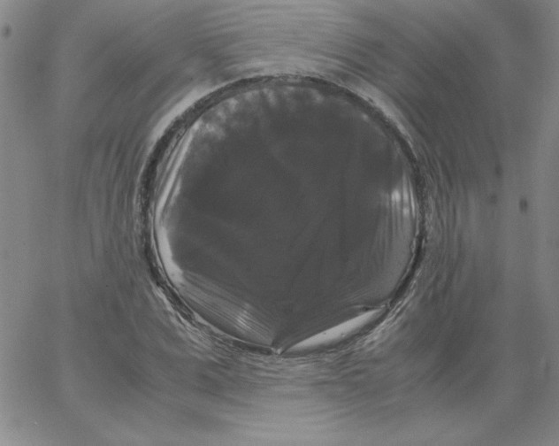 X0000066110975200604071843