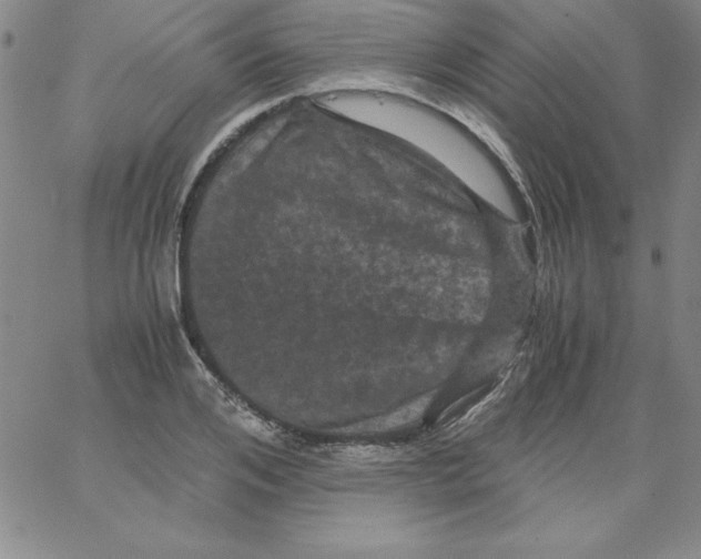 X0000066110984200604071843