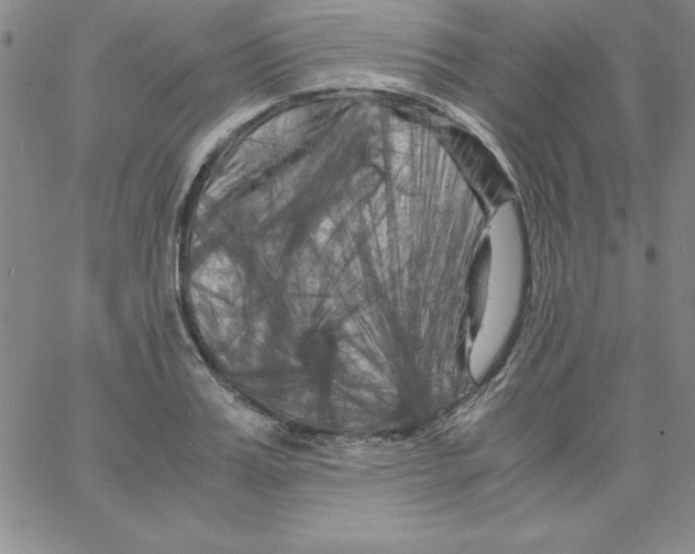 X0000066110987200604071843