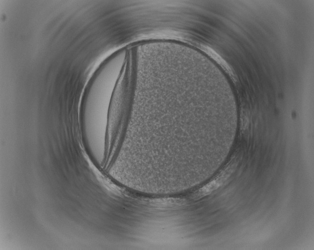 X0000066110988200604071843