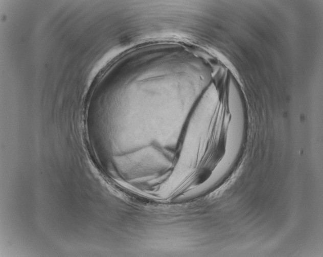 X0000066110989200604071843