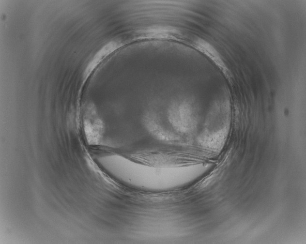 X0000066110994200604071843