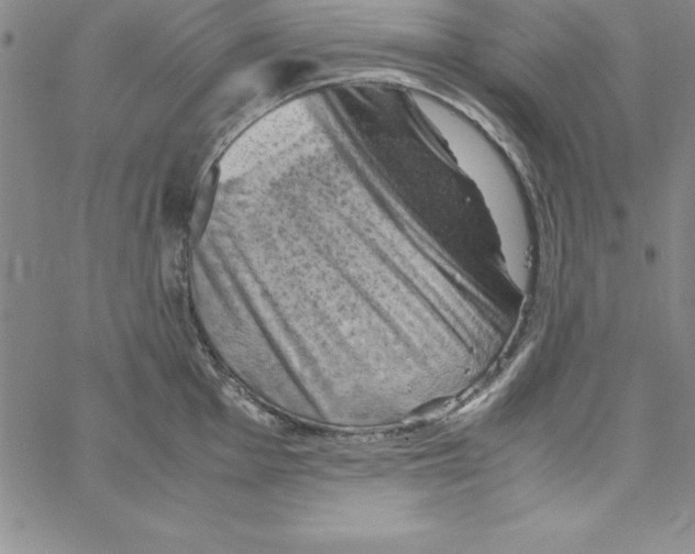 X0000066111001200604071842