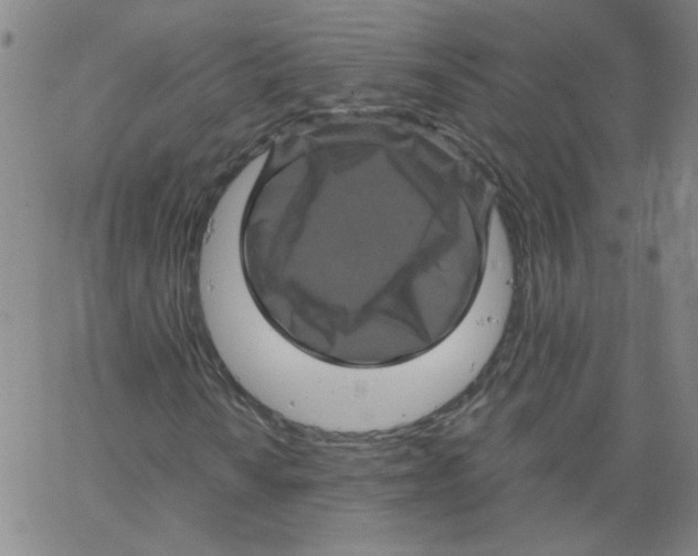 X0000066111010200604071842