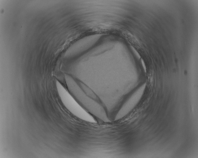 X0000066111012200604071842