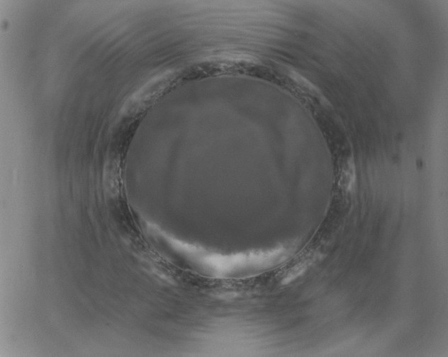 X0000066111014200604071842