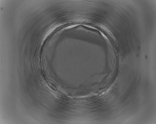 X0000066111023200604071842