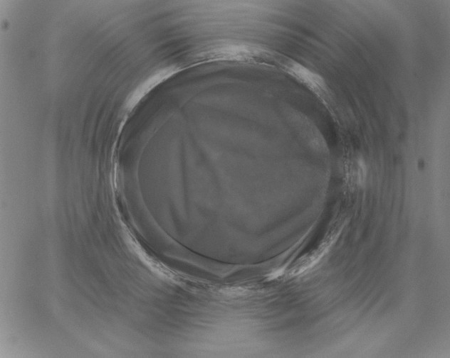 X0000066111034200604071842
