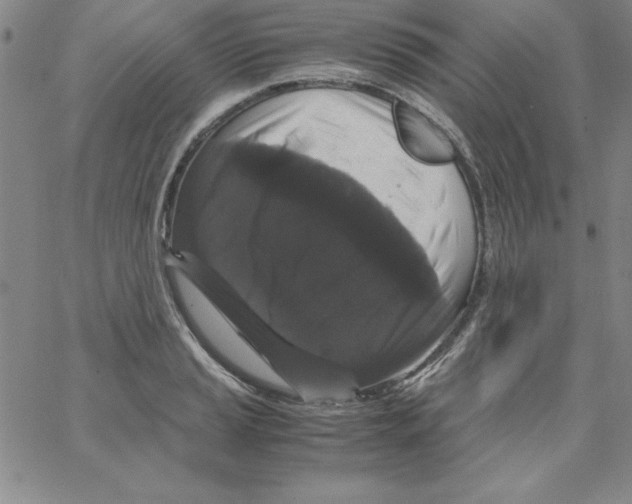 X0000066111037200604071842