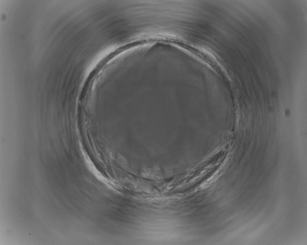 X0000066111038200604071842
