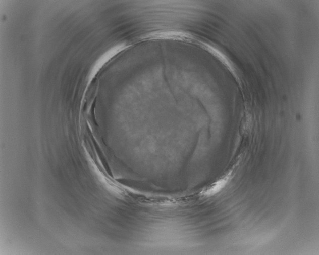 X0000066111050200604071842