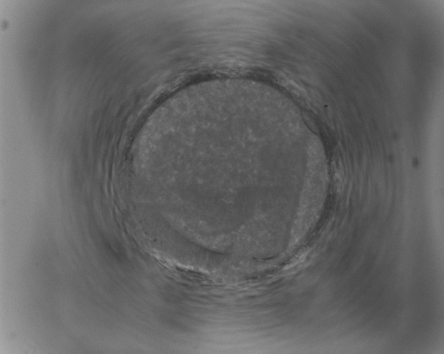 X0000066111057200604071842