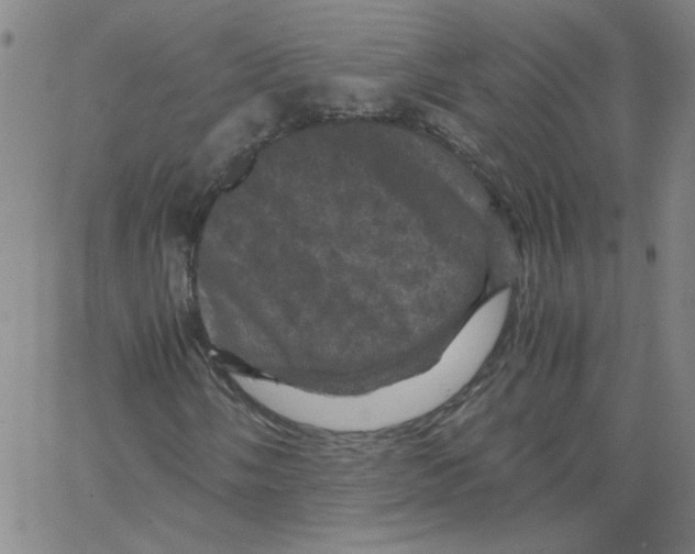 X0000066111058200604071842