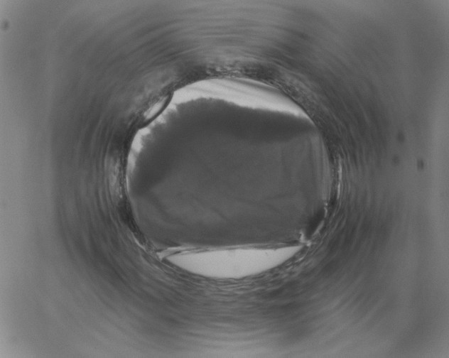 X0000066111060200604071841