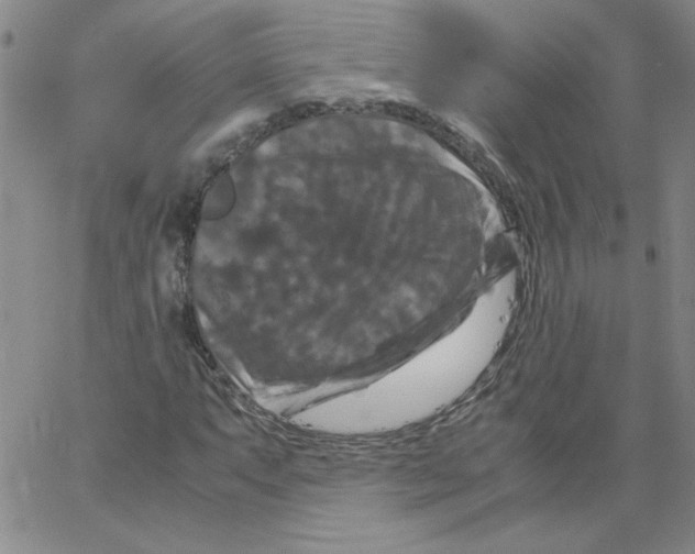 X0000066111063200604071841