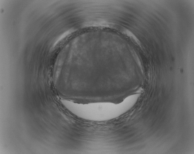 X0000066111064200604071841
