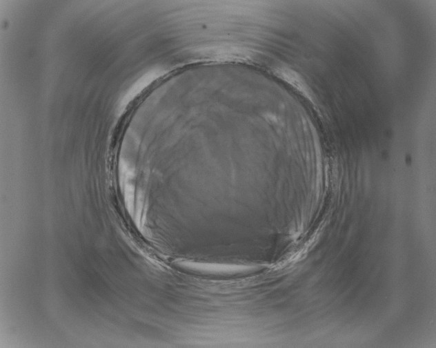 X0000066111071200604071841