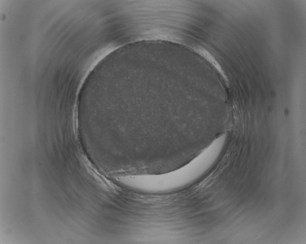 X0000066111076200604071841