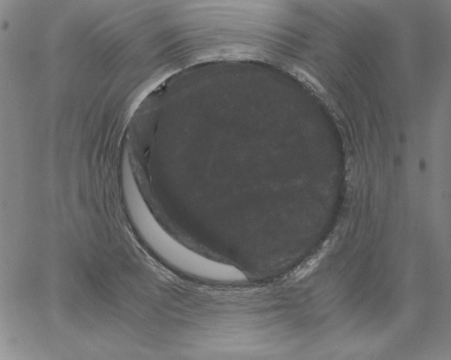X0000066111081200604071841