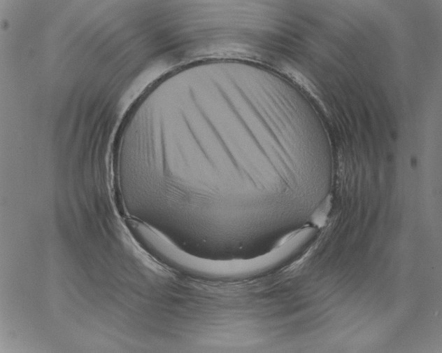 X0000066111082200604071841