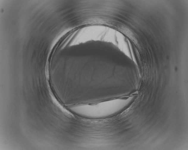 X0000066111084200604071841