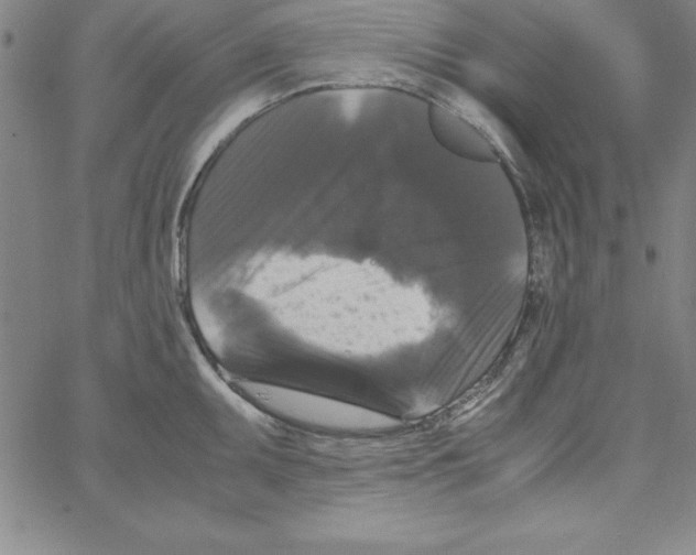 X0000066111095200604071841