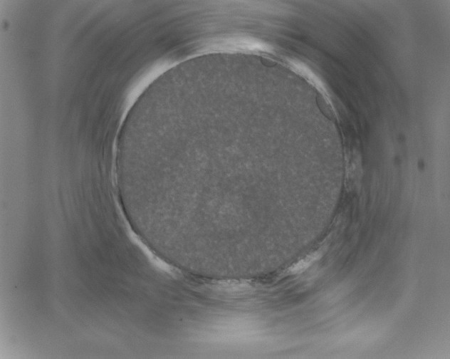 X0000066111103200604071841