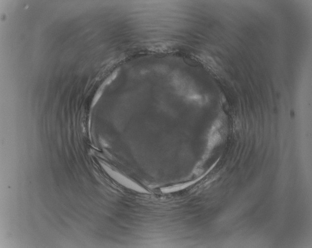 X0000066111106200604071840